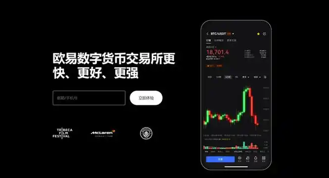 Oy平台下载页面展示
